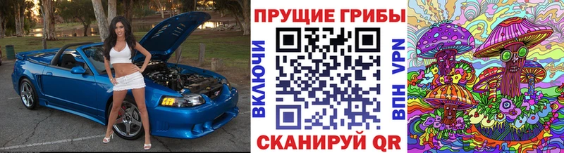 Галлюциногенные грибы Magic Shrooms  Кяхта 