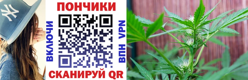 Марихуана план  Кяхта 